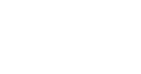 Logotipo salomon